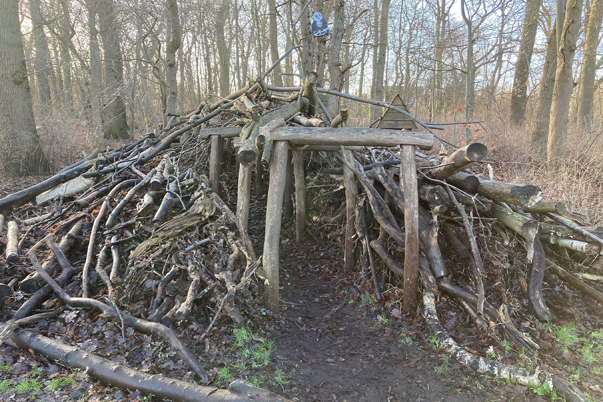 A cave of branches made by children in the forest 
